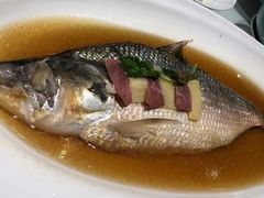 清蒸鲥鱼-上海会馆(香港名都店)