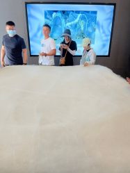 -太湖雪蚕桑文化园