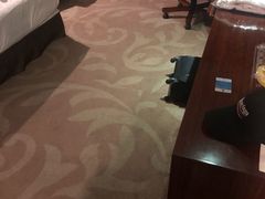 -圣爵菲斯大酒店(长沙世界之窗店)