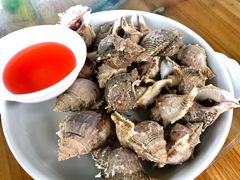 白灼海螺-海上驿站渔家菜馆