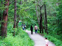 -帽儿山国家森林公园