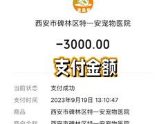 -特一安24小时宠物医院·骨科·中兽医