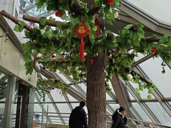 -陕西广播电视塔