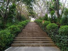 -深圳龙潭公园