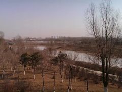-蒲河岛湿地公园
