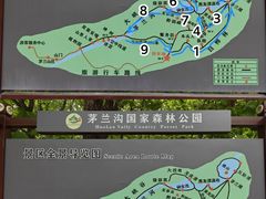-茅兰沟国家森林公园