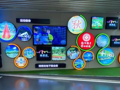 -纪州豚骨酱油拉面(锦延路店)