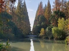 -东平国家森林公园