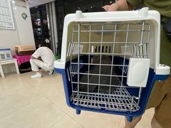-瑞鹏·疫苗·绝育·宠物医院(金沙洲店)
