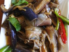 -鸿毛饺子(紫竹桥店)