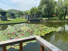 -宁波九龙湖开元度假村