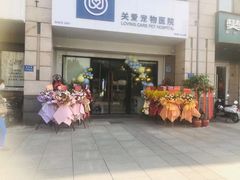 -关爱宠物医院·猫科中心·消化科(滨湖万达分院)