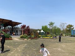 -上海长兴岛郊野公园