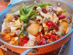 秘制雪山鱼-菌自由丨野生菌火锅特色庭院餐厅(丽江古城店)