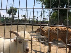 -武汉紫薇都市田园