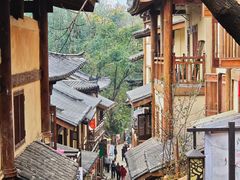-南山植物园