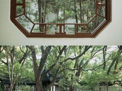 -上海醉白池公园