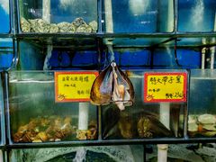 -蚝专家(北滘店)