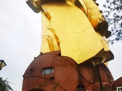 -大金鹰园