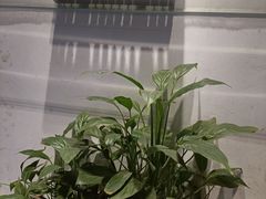 -周周有辣火锅馆(玖耀里店)
