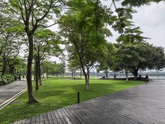 -海珠湖公园