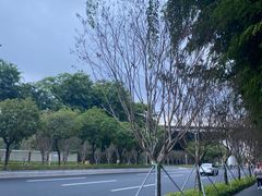 -百威年二手车市场(龙井路店)