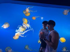 -太平洋海底世界