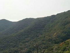 -皇藏峪国家森林公园