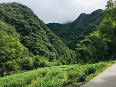 -水墨汀溪风景区