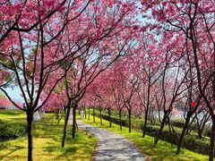 -福建鲤鱼洲酒店