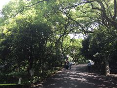iphone_upload_pic-杭州香格里拉饭店