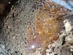 -77号渔船·蒸海鲜青岛菜(积米崖店)