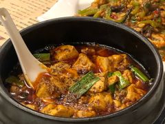 -陈麻婆豆腐总店