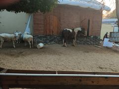 -HERRE·FARM 赫尔露营农场·团建聚会包场