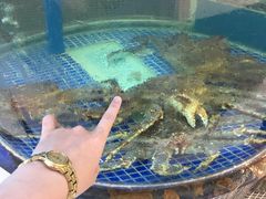 -欢乐海岸美食联盟