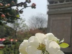 -荆川公园