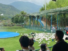 -瓷天下海丝谷