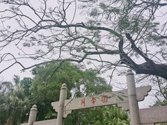 -人民公园(罗湖区)