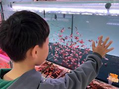 -中环花鸟鱼虫市场