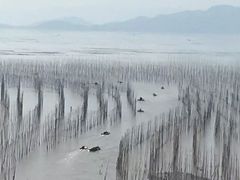 -北岐滩涂