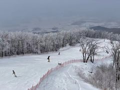 -中旅松花湖滑雪场