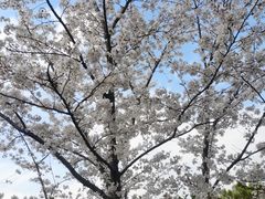 -五味堂·江浙土菜(月河特色店)