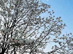 -桂林资江天门山风景区