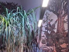 -老李家土菜馆·安吉地标美食