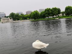 -长春世界雕塑园冰雪艺术天地