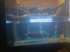 -衢农会·衢州菜·宴请(国际机场店)