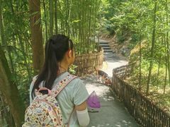 -藏龙百瀑风景区