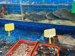 -船奇蒸汽海鲜·闽菜(八市海鲜总店)