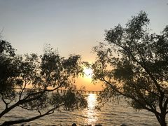 -宝安西湾红树林湿地公园