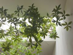 -YCHL FIT健身(前海周大福店)